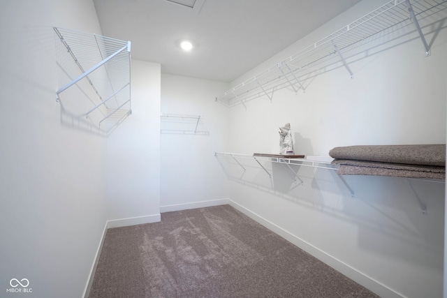 spacious closet featuring carpet floors