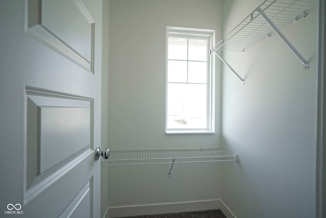 view of walk in closet