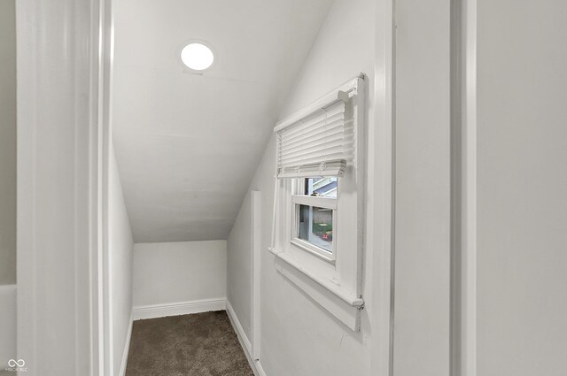 734 N Bradley Ave, Indianapolis, IN 46201 - bonus room with carpet flooring, baseboards, and lofted ceiling