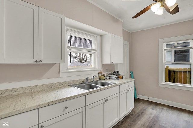 734 N Bradley Ave, Indianapolis, IN 46201 - kitchen featuring a sink, crown molding, dark wood-style floors, and white cabinets