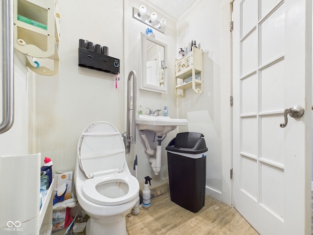 bathroom featuring wood finished floors, a sink, and toilet