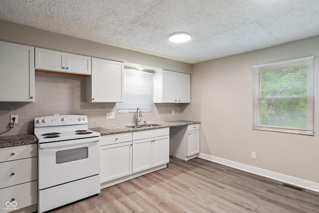 2935 Highland Pl, Indianapolis, IN 46208 - kitchen featuring light wood-style floors, a sink, a wealth of natural light, and white electric stove