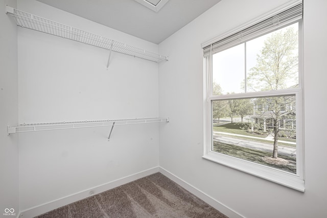 7265 Governors Row, Avon, IN 46123 - walk in closet featuring dark carpet