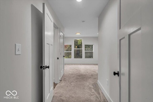 401 Sanders St, Indianapolis, IN 46225 - photo 28