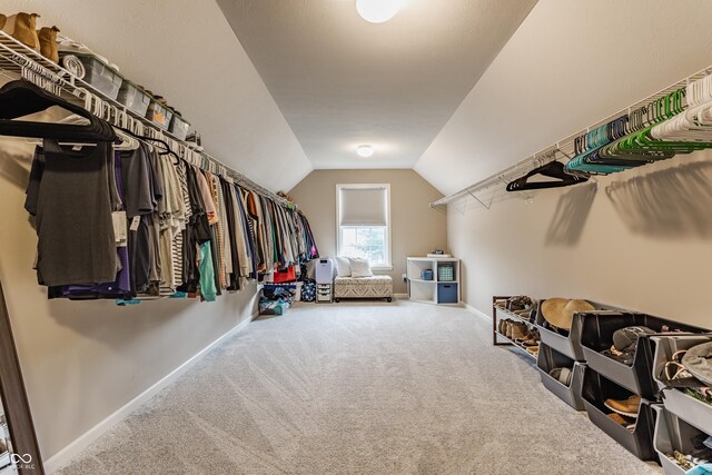 spacious closet featuring vaulted ceiling and carpet