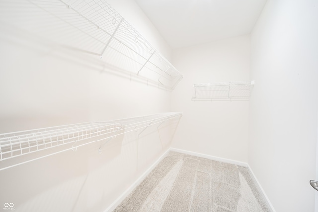 spacious closet with carpet floors