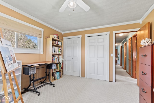 1301 N Maple St, Veedersburg, IN 47987 - office featuring a ceiling fan, carpet floors, and ornamental molding