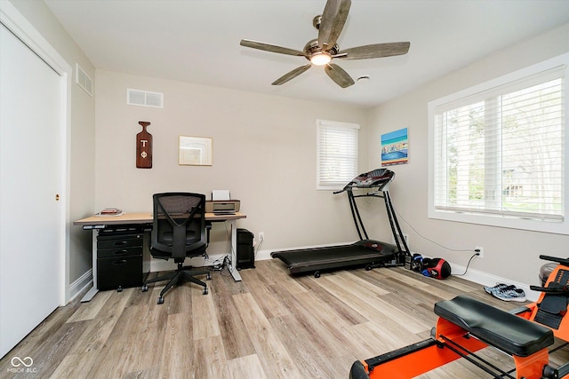 home office featuring baseboards, a ceiling fan, visible vents, and light wood-style floors