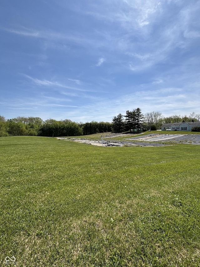 3333 S Sr 9, Greenfield, IN 46140 - view of grassy yard
