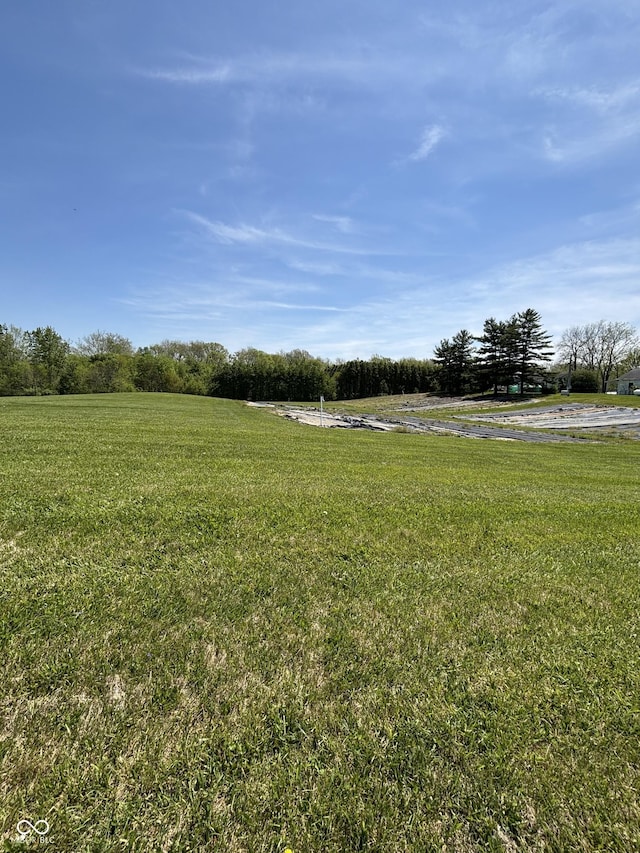 3333 S Sr 9, Greenfield, IN 46140 - view of grassy yard featuring a rural view