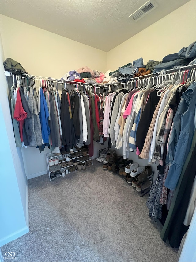 4245 W Fork Dr, Westfield, IN 46062 - spacious closet with carpet flooring