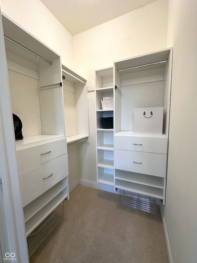 walk in closet with carpet