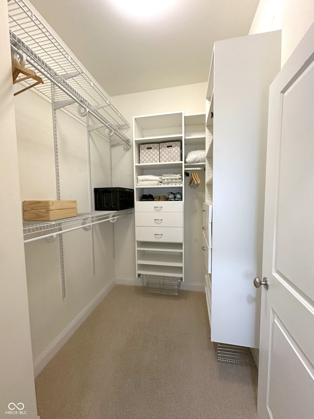 walk in closet with light carpet
