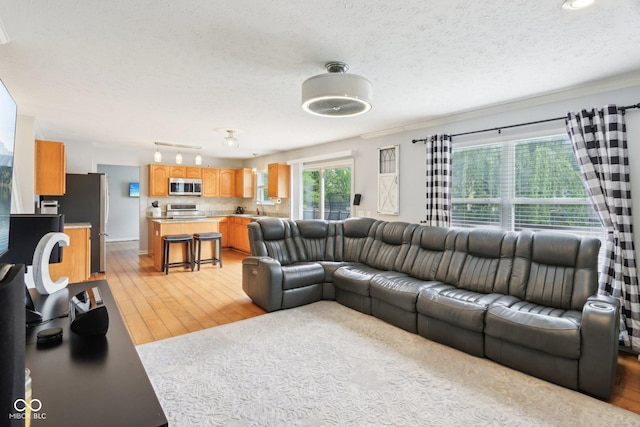 living room with light wood-style flooring, a textured ceiling, and crown molding
