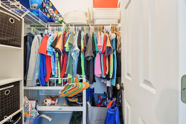 view of spacious closet