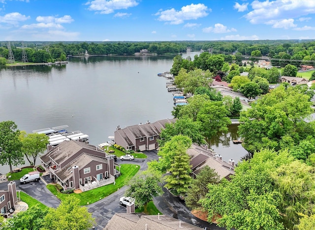 3646 Beach Blvd, Cicero, IN 46034 - aerial view of a large body of water