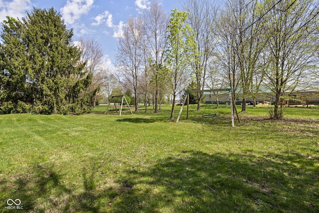 8551 E 300 S, Zionsville, IN 46077 - view of yard