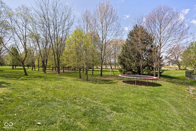 8551 E 300 S, Zionsville, IN 46077 - view of yard with a trampoline