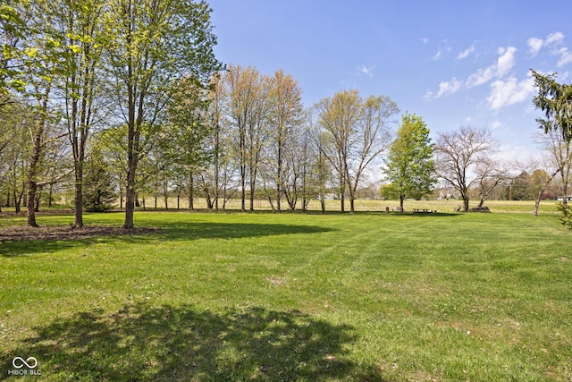 8551 E 300 S, Zionsville, IN 46077 - view of yard