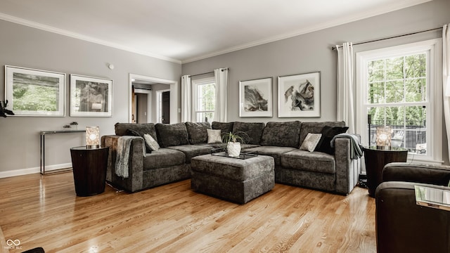 654 E 79th St, Indianapolis, IN 46240 - living area featuring light wood-style flooring, crown molding, and baseboards