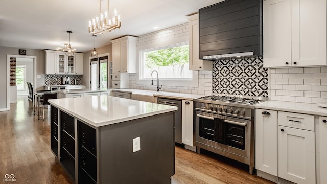 654 E 79th St, Indianapolis, IN 46240 - kitchen featuring appliances with stainless steel finishes, a sink, a center island, premium range hood, and wood finished floors