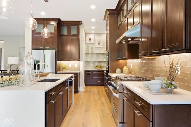 kitchen featuring a sink, high end appliances, light wood-type flooring, under cabinet range hood, and light countertops
