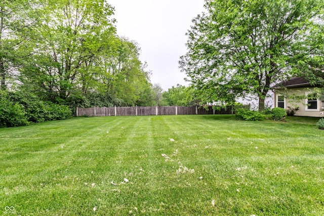 view of yard