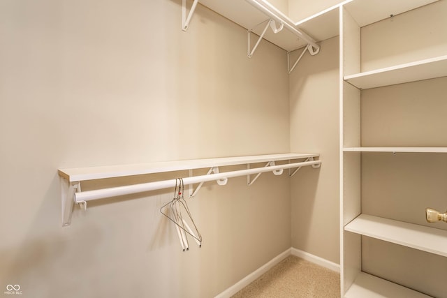 spacious closet featuring carpet flooring