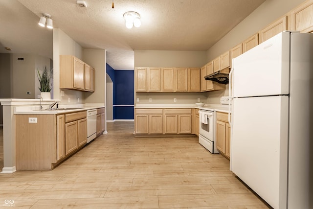 kitchen with white appliances, light brown cabinets, a sink, under cabinet range hood, and light countertops