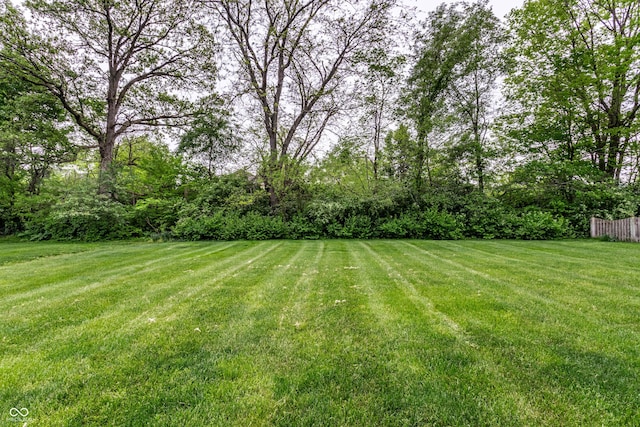 view of green lawn