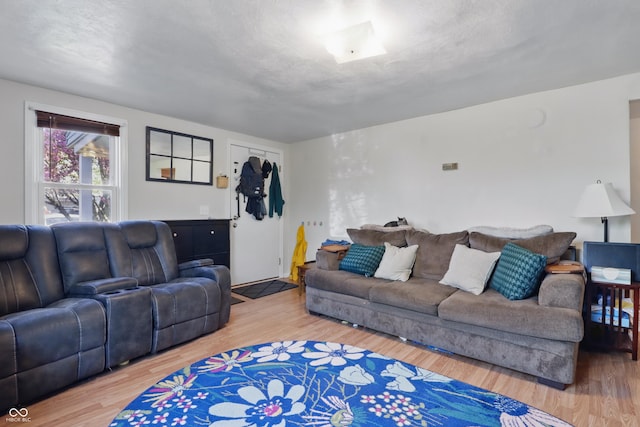 living area featuring wood finished floors