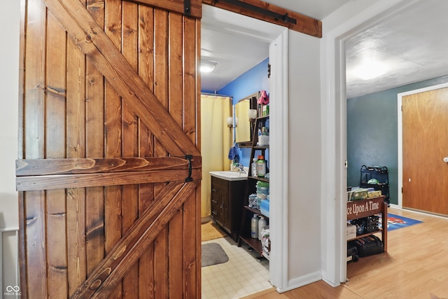 corridor with a barn door, light wood finished floors, and a sink