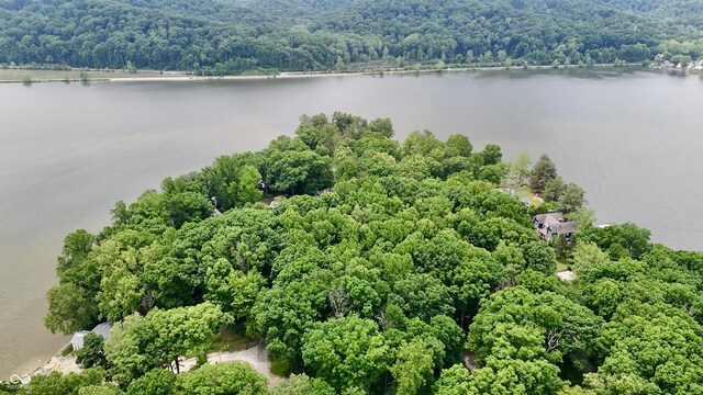 7550 N Lakewood Dr, Unionville, IN 47468 - bird's eye view of a large body of water and a forest