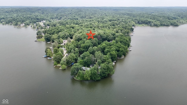 7550 N Lakewood Dr, Unionville, IN 47468 - bird's eye view of a forest and a nearby body of water