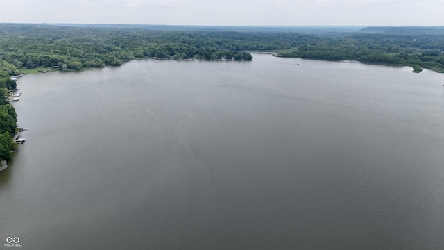 7550 N Lakewood Dr, Unionville, IN 47468 - drone / aerial view of a forest and a nearby body of water