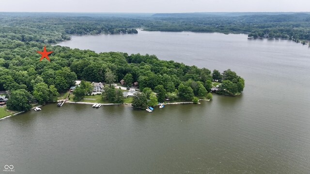 7550 N Lakewood Dr, Unionville, IN 47468 - drone / aerial view of a forest and a large body of water