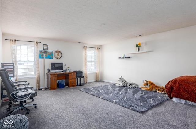 carpeted bedroom with a textured ceiling, baseboards, and multiple windows