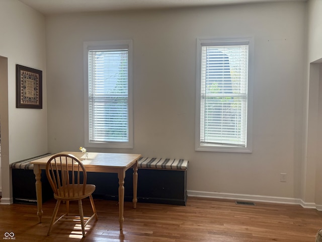 interior space with baseboards, wood finished floors, and a wealth of natural light