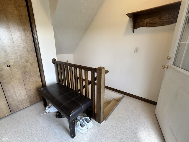 stairs with carpet flooring