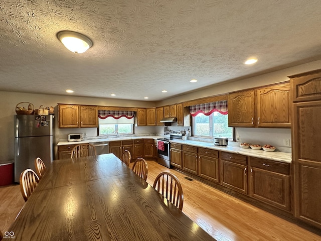 kitchen with stainless steel appliances, light wood-style flooring, light countertops, and plenty of natural light