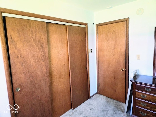 8230 E 11th St, Indianapolis, IN 46219 - bedroom with carpet floors and a closet