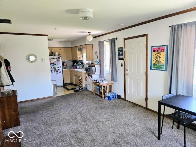 8230 E 11th St, Indianapolis, IN 46219 - interior space with light carpet, ornamental molding, visible vents, and baseboards