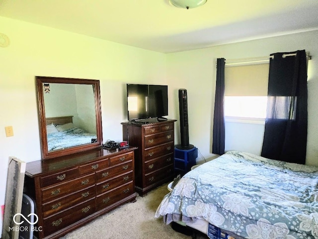 8230 E 11th St, Indianapolis, IN 46219 - bedroom with carpet