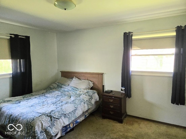 8230 E 11th St, Indianapolis, IN 46219 - bedroom featuring carpet floors