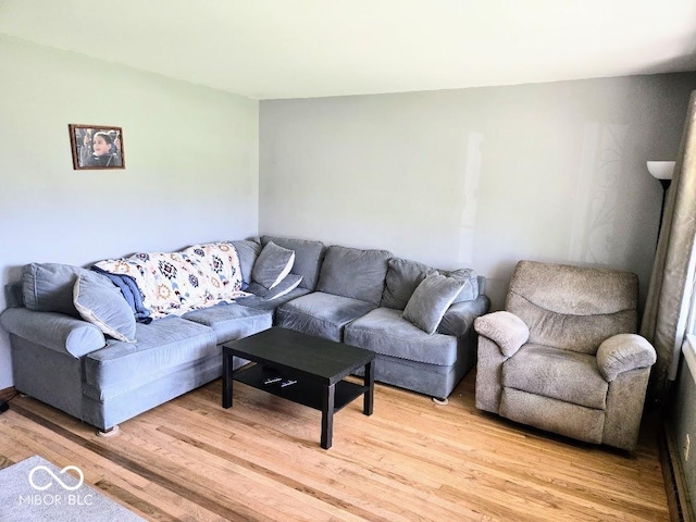 8230 E 11th St, Indianapolis, IN 46219 - living room with light wood finished floors