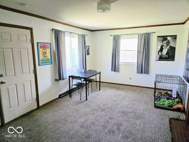 8230 E 11th St, Indianapolis, IN 46219 - rec room with carpet floors, a wealth of natural light, baseboards, and ornamental molding
