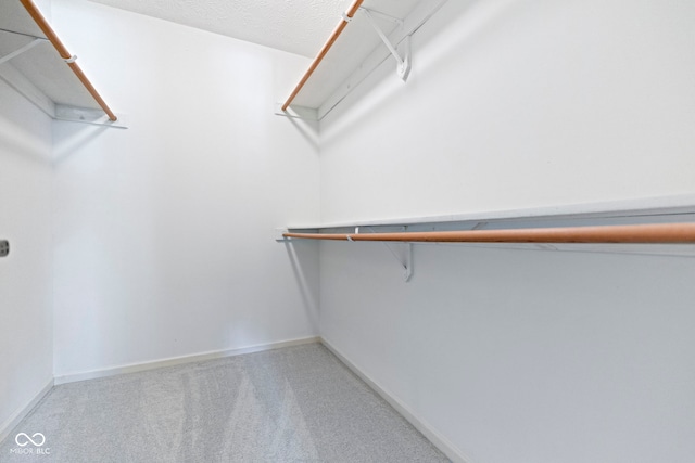spacious closet with carpet flooring