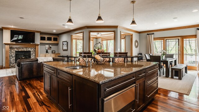kitchen with a sink, dark brown cabinetry, decorative light fixtures, dark wood finished floors, and ornamental molding
