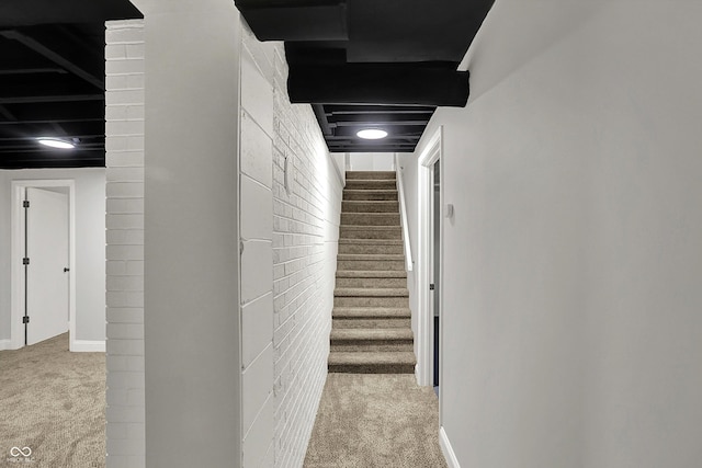 4775 E 56th St, Indianapolis, IN 46220 - hall featuring stairway, carpet, and baseboards