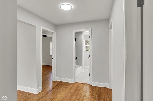 4775 E 56th St, Indianapolis, IN 46220 - corridor with light wood finished floors and baseboards